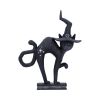Hex 15.2cm Cats Spell Cats
