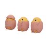 Three Wise Chicks 6.7cm Animals NEMESIS NOW | EASTER SALE