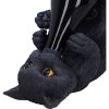 Black Cat Guzzler 24cm Cats Gifts Under £100
