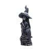 Little Souls - Shine 13.5cm Witches Top 200 None Licensed