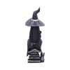 Little Souls - Shine 13.5cm Witches Top 200 None Licensed