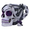 Drop Dead Gorgeous - Creepy and Kooky 16cm Skulls Mother's Day
