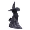 Little Souls - Twilight 10cm Witches Gifts Under £100