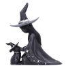 Little Souls - Twilight 10cm Witches Gifts Under £100