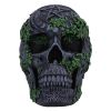 Aged Pentagram Skull 18.8cm Skulls Gifts Under £100