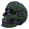 Aged Pentagram Skull 18.8cm Skulls Gifts Under £100