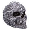 Scaled Remains 15.4cm Skulls Gifts Under £100