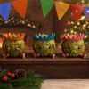 Three Wise Sprouts Unspecified Out Of Stock
