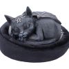 Malpuss Dreams Cats New Arrivals