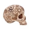Apothecary Skulls New Arrivals