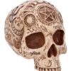 Apothecary Skulls New Arrivals