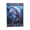 Dragon Mage Journal (AS) 17cm Dragons New Arrivals