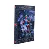 Dragon Mage Journal (AS) 17cm Dragons New Arrivals