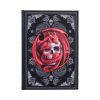 Skull Embrace Journal (AS) 17cm Dragons New Arrivals