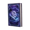 Welcome Hatchling Journal (AS) 17cm Dragons New Arrivals