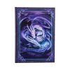 Welcome Hatchling Journal (AS) 17cm Dragons New Arrivals