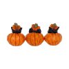 Three Wise Pumpkin Patch Cats Spooky Season