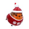 Robin Winter Warmth Hanging Ornament Animals New Arrivals