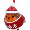 Robin Winter Warmth Hanging Ornament Animals New Arrivals