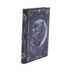 Malpuss Journal 17cm Cats New Arrivals