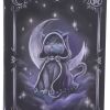 Zefur Journal 17cm Cats New Arrivals