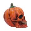 Hall of Horrors: The Spirit of Halloween Skulls Spooky Season