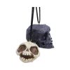 Grim and Grin Hanging Ornaments (Set of 2) Skulls Spooky Season