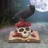 Heartaches Reflection 17cm Ravens Every Day Is Halloween