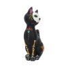 Sugar Kitty 26cm Cats NEMESIS NOW | EASTER SALE