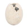 Wyrmlings First Light 12cm Dinosaurs Gifts Under £100