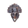 Triceratops Head 23cm Dinosaurs Father's Day