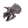 Triceratops Head 23cm Dinosaurs Father's Day