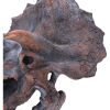 Triceratops Head 23cm Dinosaurs Father's Day
