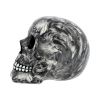 Soul 19cm Skulls Stock Arrivals