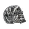 Soul 19cm Skulls Stock Arrivals