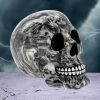 Soul 19cm Skulls Stock Arrivals