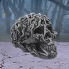 Hell's Desire 18cm Skulls Halloween RRP Above 20