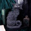 Salem 32.5cm Cats Every Day Is Halloween