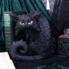 Spite 25.5cm Cats Top 200 None Licensed