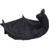 Winged Watcher 24.1cm Bats Every Day Is Halloween