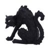 Spite (Small) 16cm Cats Gifts Under £100