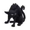Spite (Small) 16cm Cats Gifts Under £100