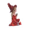 Rina 15cm Witches Halloween RRP Above 20