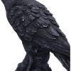Raven Messenger 25cm Ravens Every Day Is Halloween