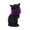 Furgus 19.5cm Cats NEMESIS NOW | EASTER SALE
