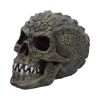 Reptillian 17cm Skulls Gifts Under £100