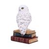 Library of Wisdom 17cm Owls Coming Soon Products