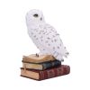Library of Wisdom 17cm Owls Coming Soon Products