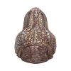 Tyrannosaurus Rex Dish 24cm Dinosaurs NEMESIS NOW | EASTER SALE