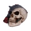 Soul Rose 17cm Skulls Halloween RRP Above 20